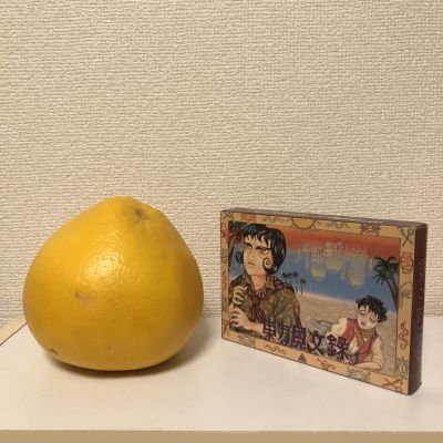 大きい柑橘類(二)