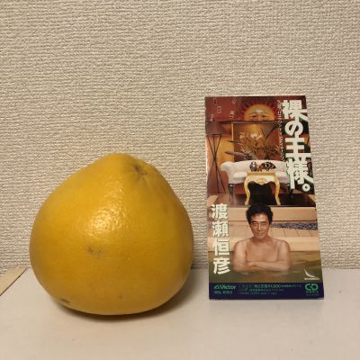 大きい柑橘類(三)