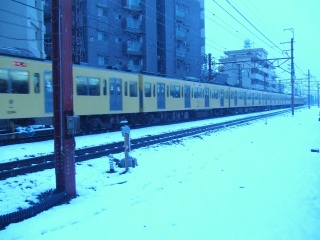 snowy_3