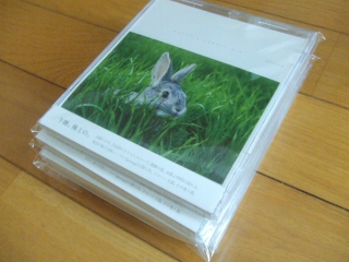 mercury rabbit e.p.