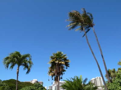 240112_hawaii_1.jpg